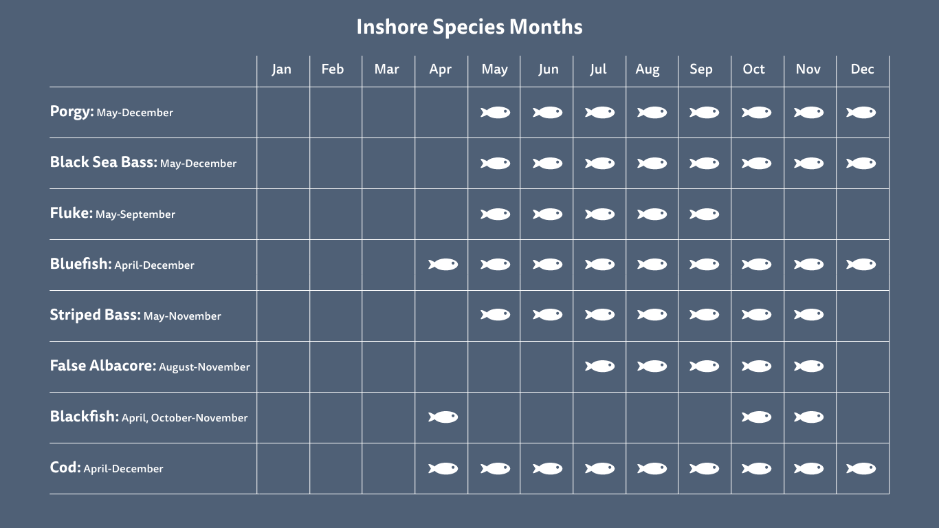 Fishing Charter Rates and Seasonal Calendar Push the Limit Sportfishing